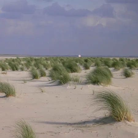 Hafenblick, Haus Seeadler * Baltrum
