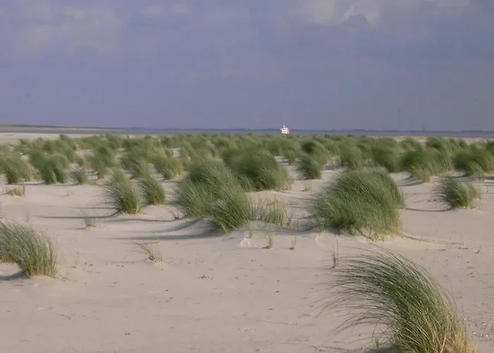 Hafenblick, Haus Seeadler * Baltrum