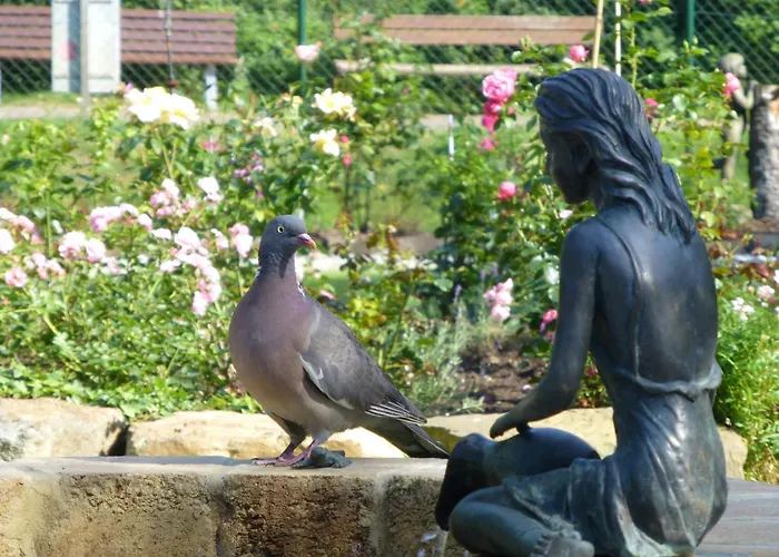 Hafenblick, Haus Seeadler Διαμέρισμα *
